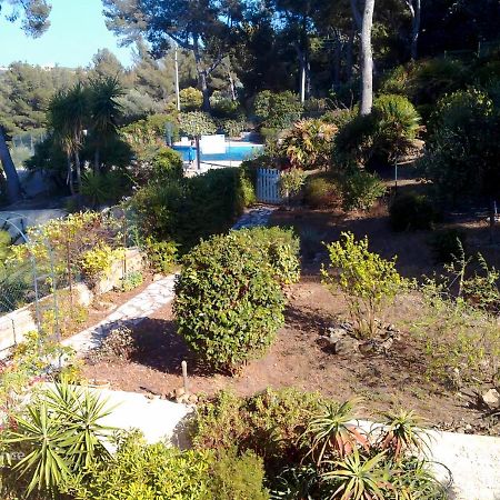 T1 Avec Piscine A 300M Des Plages Pour 4 Personnes - Residence Saint Elme La Seyne-sur-Mer Eksteriør billede